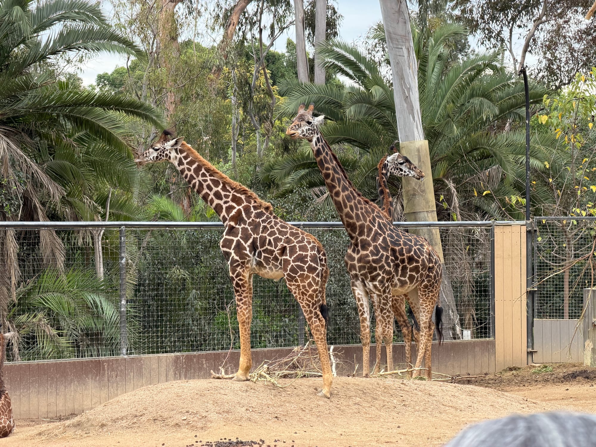 Best Books, Articles, Films and Theater I Read and Saw (2025 Edition)